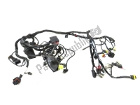 51016922B, Ducati, Wiring harness, Used