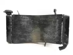 Here you can order the radiator from Ducati, with part number 54840191A: