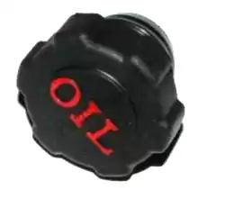 Here you can order the cap comp., oil from Honda, with part number 55105GF8000: