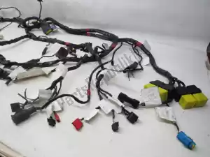 piaggio 642738 wiring harness complete wiring harness - Plain view