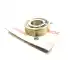 Bearing Ducati 751101747