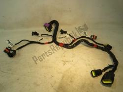 Aprilia 851633, Kabelbaum, OEM: Aprilia 851633