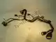 Wire harness Aprilia 851633