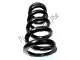 Rear spring Aprilia 860169