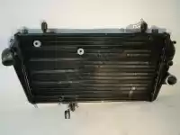 897162, Aprilia, Radiador de refrigerante Aprilia Shiver Dorsoduro 750 SL SMV GT Factory, Usado