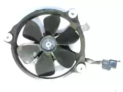 Here you can order the fan from Aprilia (Mitsuba), with part number AP8124460: