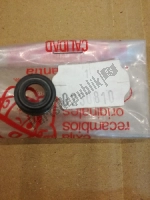 AP0230810, Aprilia, Seal, waterpump, Used