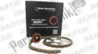 GB520GXW, RK, Conjunto de corrente e roda dentada, 16t 48t 110/520 Yamaha XJ 600 SN Diversion NH NN SH S N, Novo