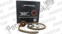 GB520GXW, RK, Chain and sprocket set, 16t 48t 110/520, New