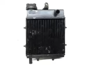 aprilia ap8101368 radiator - Upper side