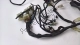 Main wiring harness Aprilia AP8124096