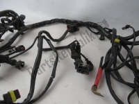 51010401A, Ducati, Arnés de cables, Usado