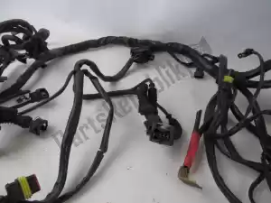 Ducati 51010401A wire harness - Right side