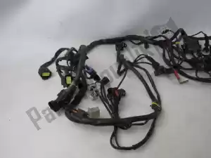 Ducati 51010401A wire harness - Lower part