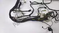 AP8124096, Aprilia, Main wiring harness Aprilia Pegaso 650, Used