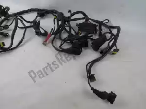 Ducati 51010401A wire harness - Left side