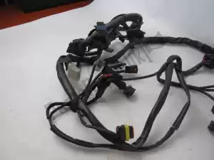 Ducati 51010401A wire harness - Upper side