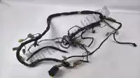 AP8124096, Aprilia, Main wiring harness Aprilia Pegaso 650, Used