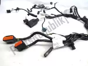 kawasaki 260310670 wiring harness - Middle