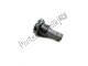 Central stand fixing screw Aprilia AP8121932