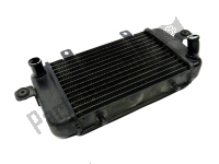 17117666804, BMW, Radiateur, Gebruikt