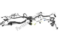 260310670, Kawasaki, Wiring harness Kawasaki ER-6N 650 D C ER650, Used