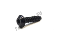 250001007, BRP, Screw, New