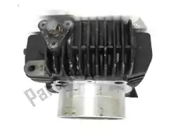 Here you can order the cylinder and piston from Ducati (30120191 DA), with part number 30120191DA: