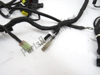 51017261A, Ducati, Wiring harness, Used