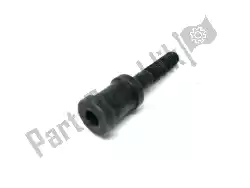 Here you can order the special bolt with spacer from Ducati, with part number 77917711AA: