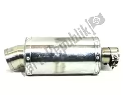Here you can order the muffler, 51mm, from Delkevic, with part number PR2206: