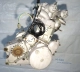 Blocco motore completo Aprilia AP0295166