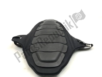 , Dainese, Dainese, back protector, Used