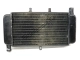 Radiateur Aprilia AP8201410