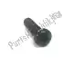 Phillips head bolt Yamaha 9851706020