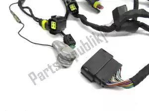 ducati 51017261a wiring harness - Right side