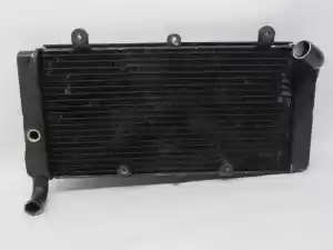 Honda 19010MAJG20 radiador - Parte inferior