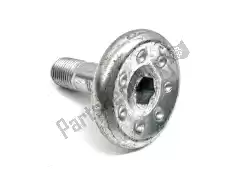 Here you can order the bolt from Ducati, with part number 77915351AA: