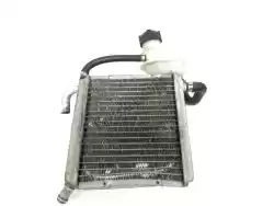 Here you can order the radiator from Aprilia, with part number AP8202212: