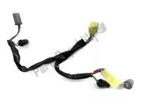 3417307A30, Suzuki, wiring harness Suzuki GV 700 GLF Madura (F) USA (E), Used