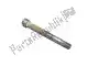 Hex socket screw m12 x 108 Piaggio Group AP8150338