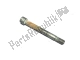 Hex socket screw m12 x 108 Aprilia AP8150338