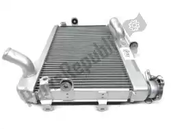 Here you can order the radiator from Yamaha, with part number 1WS1246100: