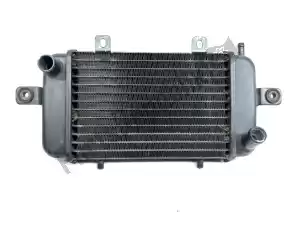 bmw 17117666804 termosifone - Lato superiore