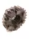 Gearbox sprocket Ducati 17210103C