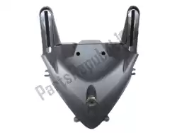 Here you can order the front fairing, black from Ducati, with part number 48111193C: