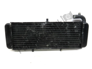 aprilia AP8101817 radiator - Lower part