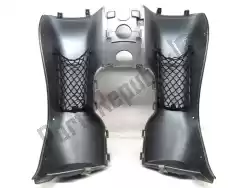 Here you can order the fairings from BMW, with part number 46632328879: