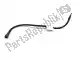 Linea del freno, anteriore BMW 34322335917