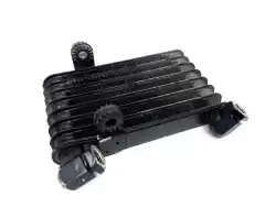 Here you can order the oil cooler from Ducati, with part number 54840791A: